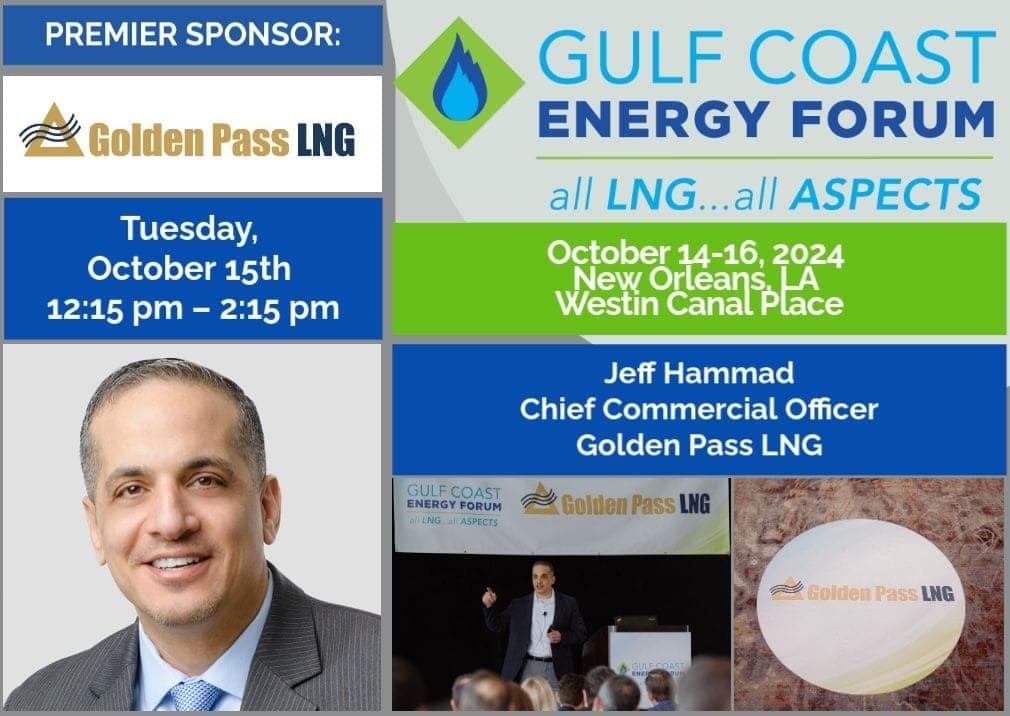 What: The Gulf Coast Energy Forum is a new event brought to you by the producers of the very successful LDC Gas Forum and US-Mexico Natural Gas Forum series.

The U.S. Gulf Coast is clearly established as the epicenter for global LNG supply. So it makes entire sense that hundreds of energy industry professionals gather in New Orleans to gain insight and conduct analysis of up to the minute issues facing the U.S. Gulf Coast natural gas market region, as well as the remarkable growth in exports of Liquified Natural Gas (“LNG”) to global markets. This is the industry’s premier gathering for natural gas industry professionals, which is much more than simply a conference, with participants routinely negotiating transactions during the event.

This event responds to the industry’s demand for a purpose-built venue for industry players to learn, obtain insight, network and conduct business across the entire natural gas value chain supporting global LNG activity.

Forum topics include: A key theme across the agenda is Energy Transition – addressing the trilemma challenge of security of supply, affordability, and offering lower carbon energy alternatives (Certified Gas, RNG, CNG, Hydrogen, CC&S, etc.):

Global LNG Market fundamentals (supply, demand, transport, price)
Natural gas supply sources for LNG
Global LNG market assessments and competing domestic U.S. markets
Infrastructure inventory and developments (liquefaction facilities and supporting pipelines)
Identification of key players: end users, facility operators, suppliers, markets, investors
Regulatory considerations
Sales and purchase agreements anatomy and trends in commercial transactions and operations

Beyond these key topics, the U.S. Gulf Coast region also brings its own unique issues. Overall demand continues to grow, both industrial consumers and LNG exporters. Various production basins across the country are readily available, however midstream infrastructure expansions face fierce resistance, resulting in bottlenecks and basis price anomalies. Policymakers in these regions are increasingly enacting anti-fossil fuel legislation, including bans on natural gas use and restrictions on production. Sentiment for all-renewables energy supply is growing strongly. However, there are clear signs that mandates to achieve these goals are simply unachievable without significant continued contribution of natural gas to the energy mix. In response, natural gas stakeholders across the value chain are responding quickly with a raft of innovative energy solutions that offer lower carbon energy that is reliable, readily available, and affordable. In addition, certain domestic natural gas consumers have expressed concern about long-term supply security given the continuing dramatic growth in LNG exports. The convergence of these market conditions results in commodity price volatility and the need for informed decisions on structuring commercial arrangements into the future.

Who: As with each of the other events in the Forum series, the entire natural gas value chain is represented, including LNG facility operators, LNG transporters, shipping, traders, marketers, producers, pipelines, LDCs/Utilities, end users, regulators, policy makers, market analysts, and key service providers.

Why: Networking is at the heart of this Forum. Multiple opportunities are arranged for you to meet and engage with energy people through our scheduled networking activities, and before/after/in-between sessions. Meeting key operator representatives, thought leaders, analysts and prospective customers is easy!

Insight is valuable takeaway. Obtain valuable and unique insights from the newsmakers and leaders of the industry. But it’s not just talking heads. Obtain answers to your questions. Learn from your colleagues questions. Follow-up by meeting one-on-one with Presenters. Collect the presentations afterwards.

YOU: should attend this Forum if you are…

…a gas buyer with a Utility or End User, looking to identify new sources of gas supply and transportation/storage, and meet with existing suppliers
 …a Producer looking to identify new markets and transportation/storage alternatives, and meet with existing customers and suppliers
…a Marketer looking to identify new markets and supply sources, and meet with existing customers
…a Pipeline or Storage operator, looking to identify new shippers, and meet with existing customers
…a key Services and Products Supplier to operators across the entire natural gas value chain, looking to identify new markets, and meet with existing customers

Benefits of participating…

Shorten your Sales Cycle– conduct months worth of standard sales efforts in just 2 1/2 days
Reach Decision Makers– meet key decision makers representing each element of the natural gas value chain
Reduce cost of Business Development – meet dozens of qualified prospects in one place, at one time, instead of multiple one-off visits

How we differentiate from other LNG Forums:

The Gulf Coast Energy Forum is all about commercial operations spanning the entire LNG value chain – from feedstock supply through transportation to identification of global end use markets. The Gulf Coast Energy Forum program/speakers and Gulf Coast Energy Forum attendees are directly involved in commercial operations – dealmakers responsible for maximizing returns for their stakeholders. Hear from the experts who are actually making it happen; network with existing and prospective counterparties.
The Gulf Coast Energy Forum is strategically located in the center of the universe for global LNG activity – the U.S. Gulf Coast. Dealmakers attending who represent producers, pipelines, LNG export terminal operators, marketers, and global end use markets appreciate the critical significance of this location.

The Gulf Coast Energy Forum, the LDC Gas Forums and the US-Mexico Natural Gas Forum
Where the Natural Gas Industry Gathers: Networking – Insights – Deal-Making